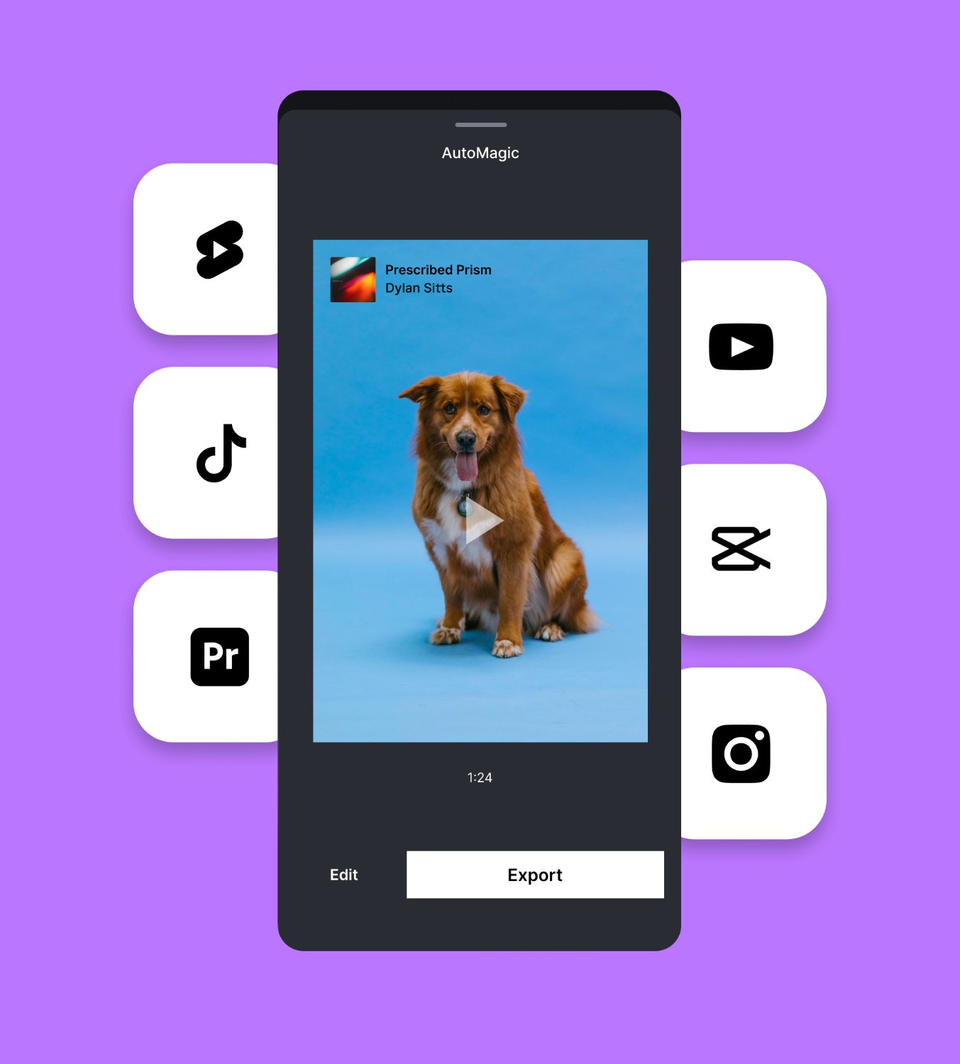 Concept exploration — AutoMagic export